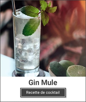 Gin Mule